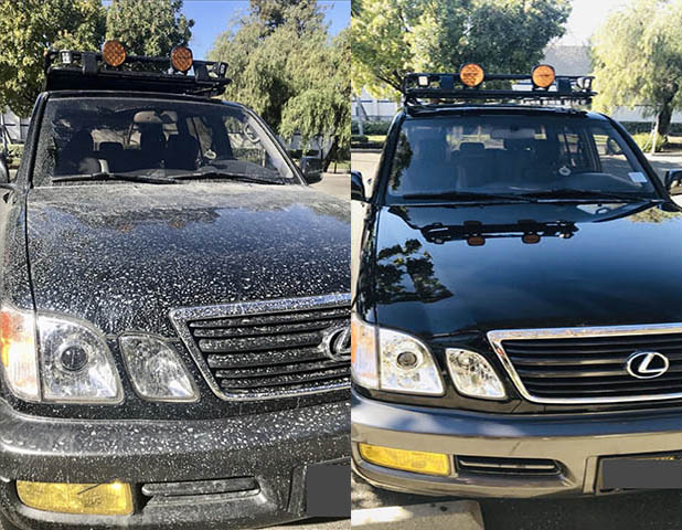 Lexus exterior detail after mobile wash